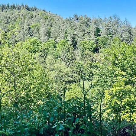 Апартаменты Berg&tal - Naturnah