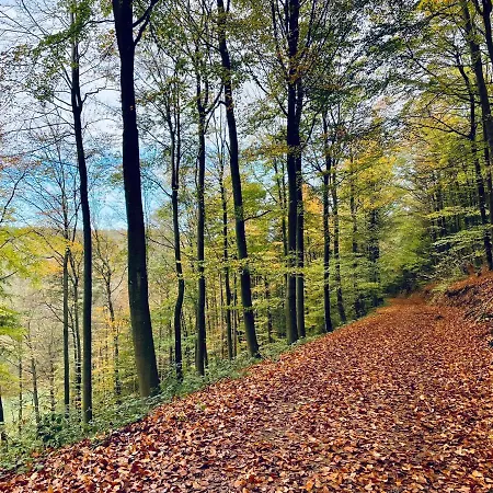 Berg&tal - Naturnah Апартаменты *