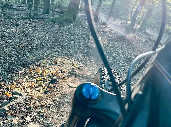 Berg&tal - Naturnah Трир