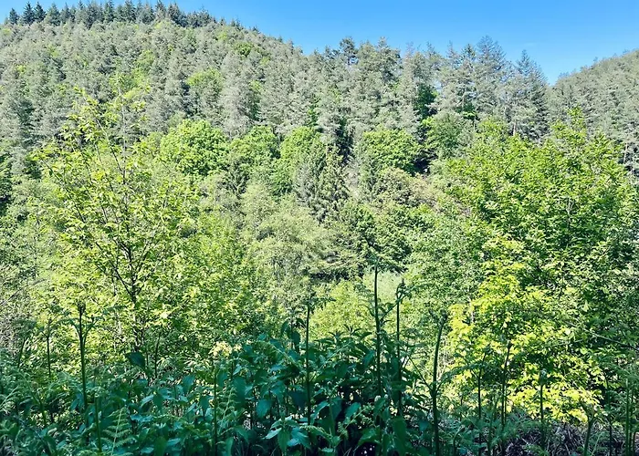 Апартаменты Berg&tal - Naturnah